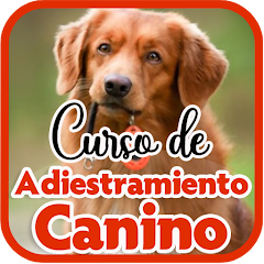 Curso de Adiestramiento Canino